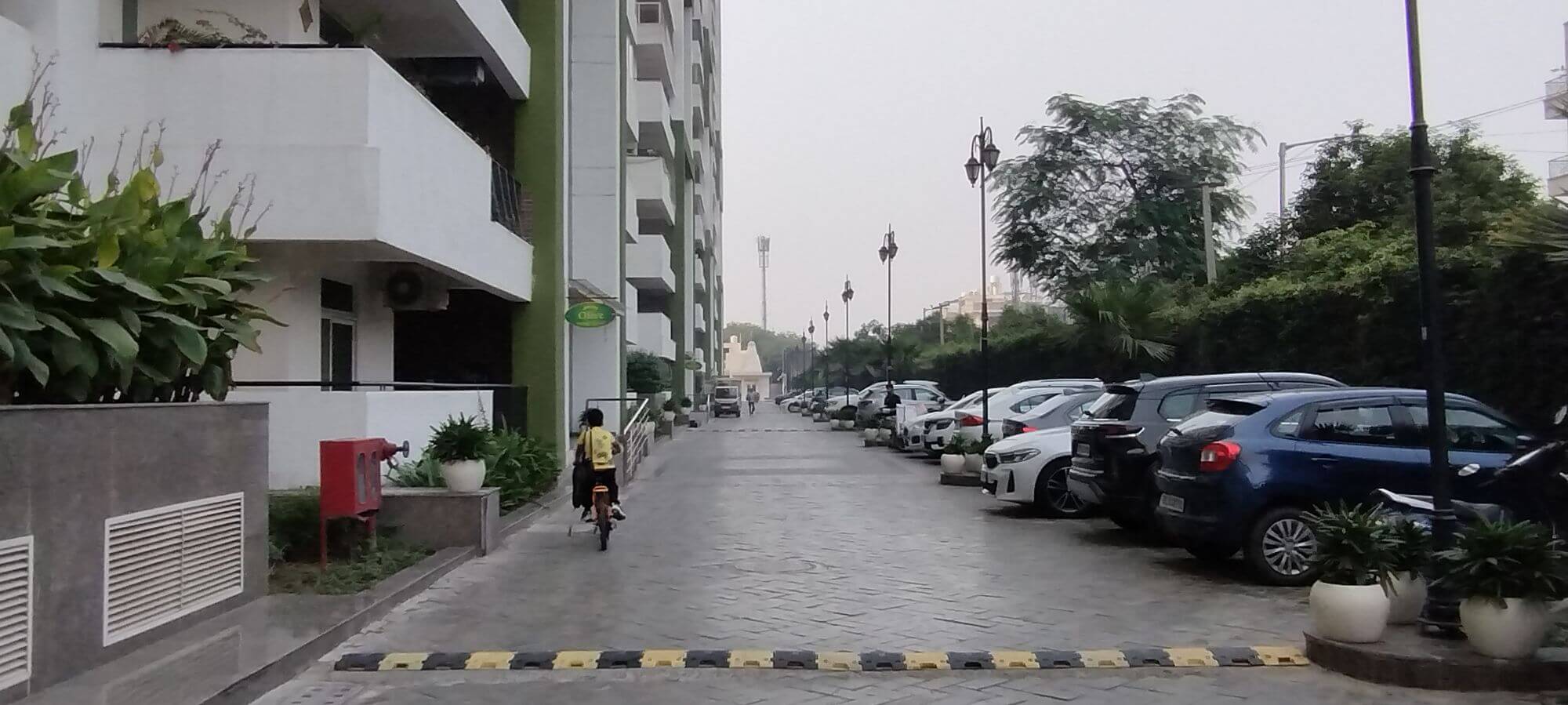 Image 9
